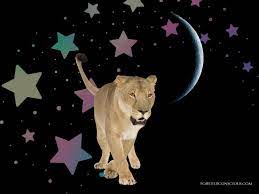 New Moon in Leo Brings Vibrant Energy and Time to Self Care