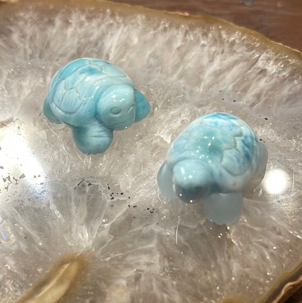 Larimar Turtle Carving