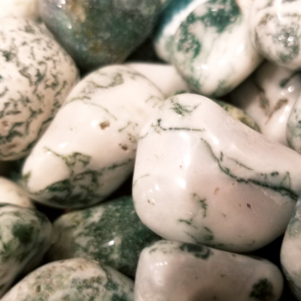 Tree Agate Tumbled Pocket Stone