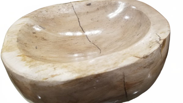 Petrified Wood Bowl