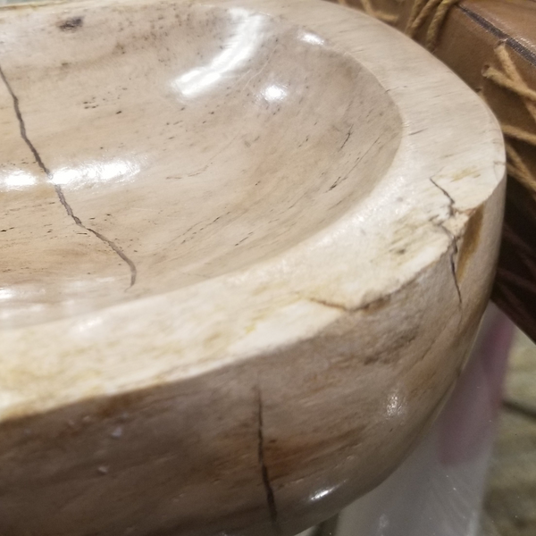 Petrified Wood Bowl