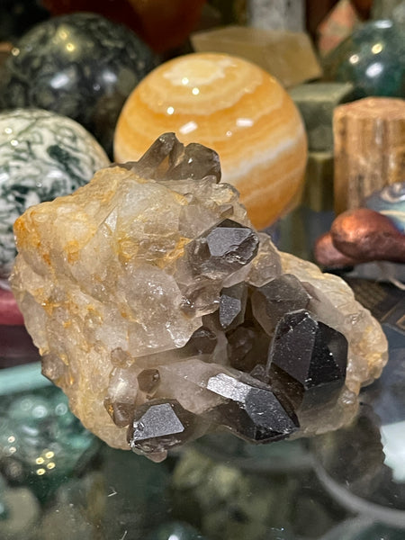 Devil's Head Colorado Smoky Quartz  natural point Clusters