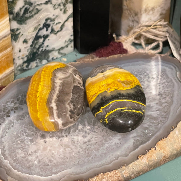 Bumble Bee Jasper Palm Stone