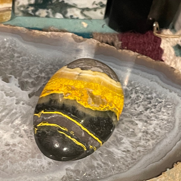 Bumble Bee Jasper Palm Stone