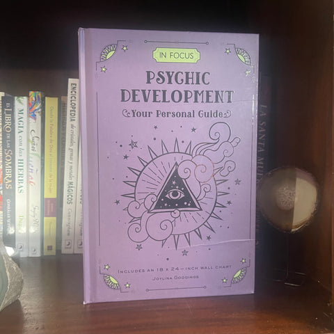 Psychic Development: Your Personal Guide (In Focus)