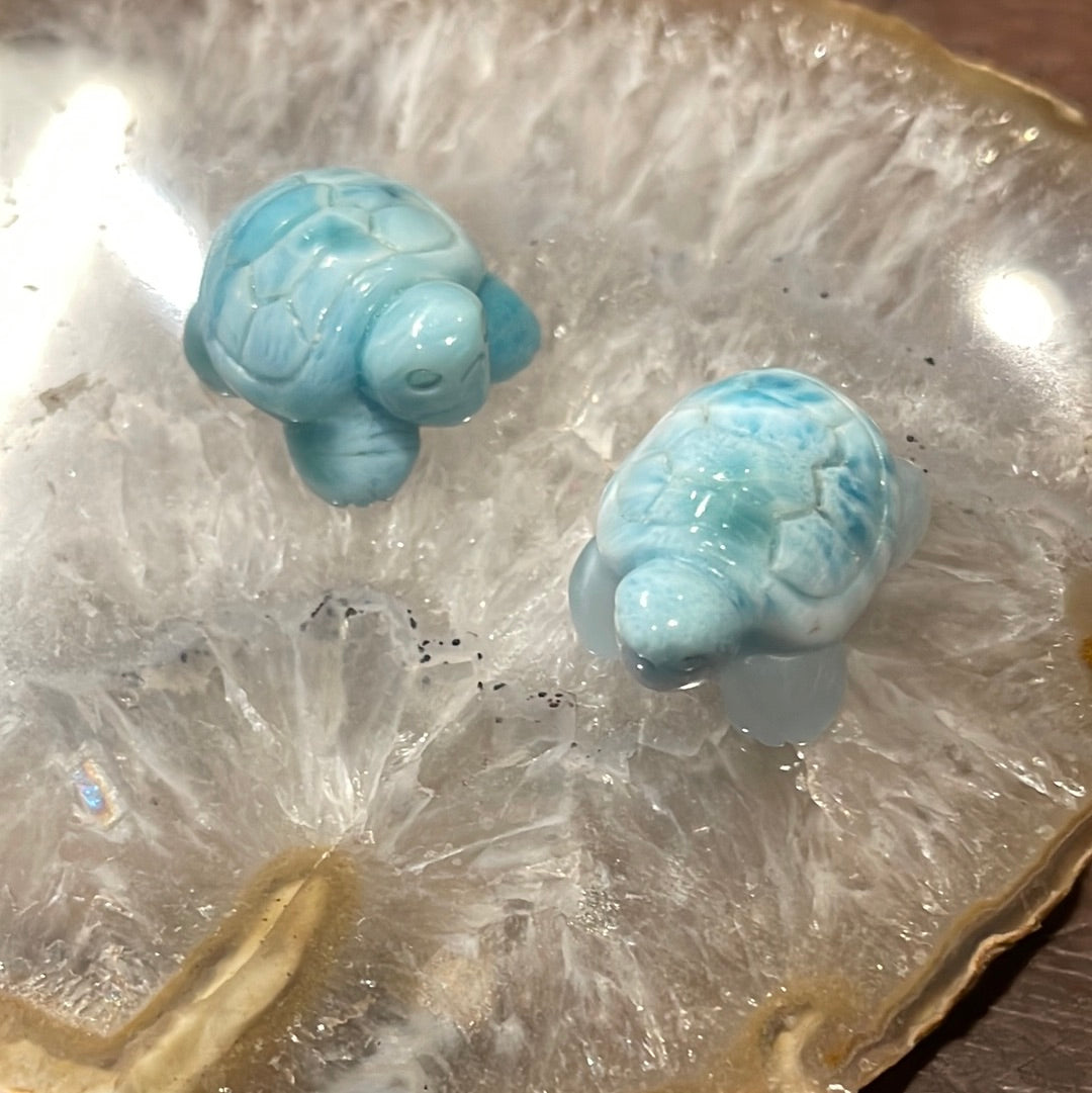 Larimar Turtle Carving