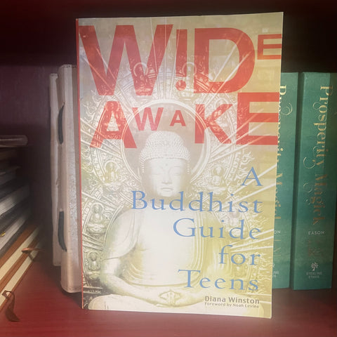 Wide Awake: A Buddhist Handbook for Teens
