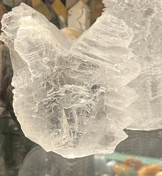 Angel Wing Selenite from Morroco