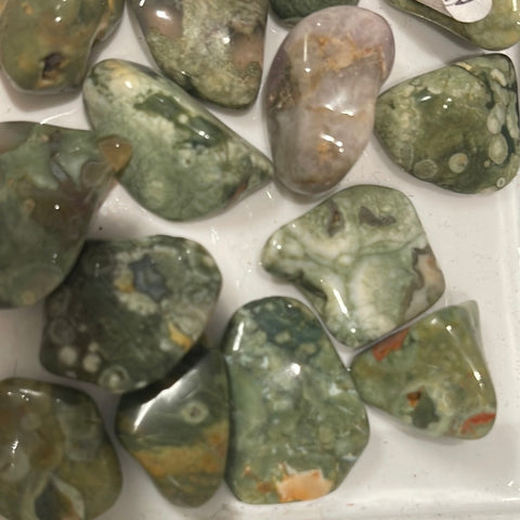 Rainforest Rhyolite Pocket Stone