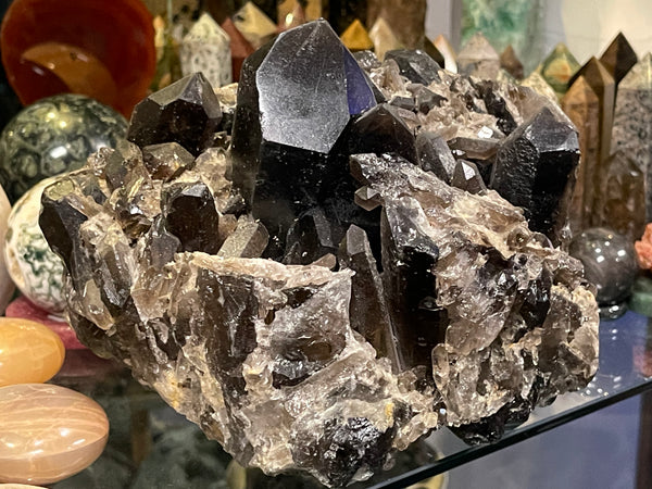 Devil's Head Colorado Smoky Quartz  natural point Clusters