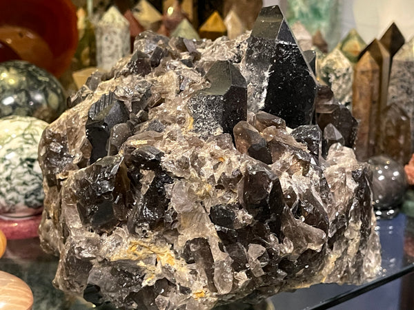 Devil's Head Colorado Smoky Quartz  natural point Clusters