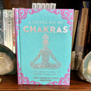 A Little Bit of Chakras: An Introduction to Energy Healing by Chad Mercree, Amy Leigh Mercree