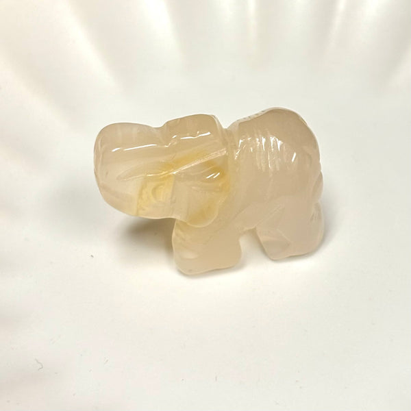 Carved Gemstone Elephants | Assorted | Small