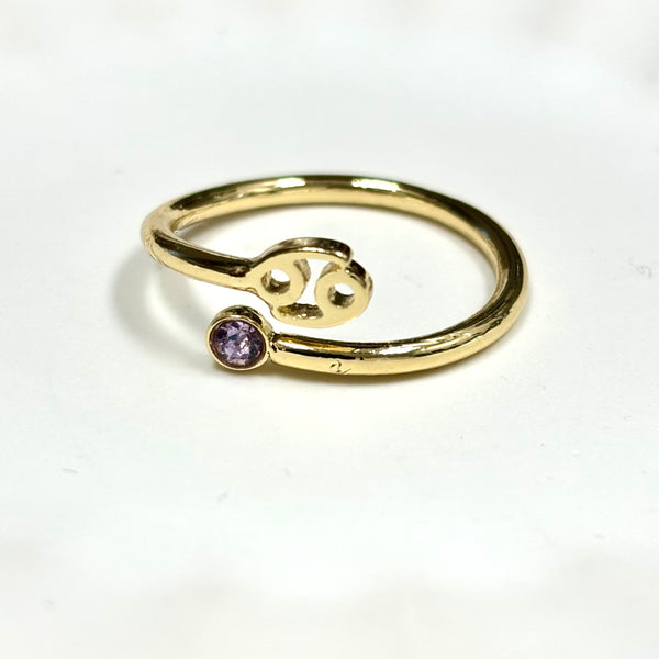 Zodiac Symbol Gold Plated with CZ Bypass Ring