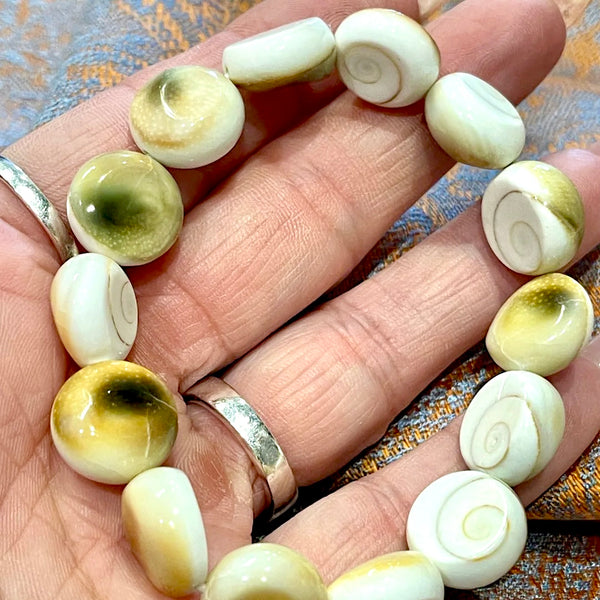 Shiva Shell Stretch Bracelet