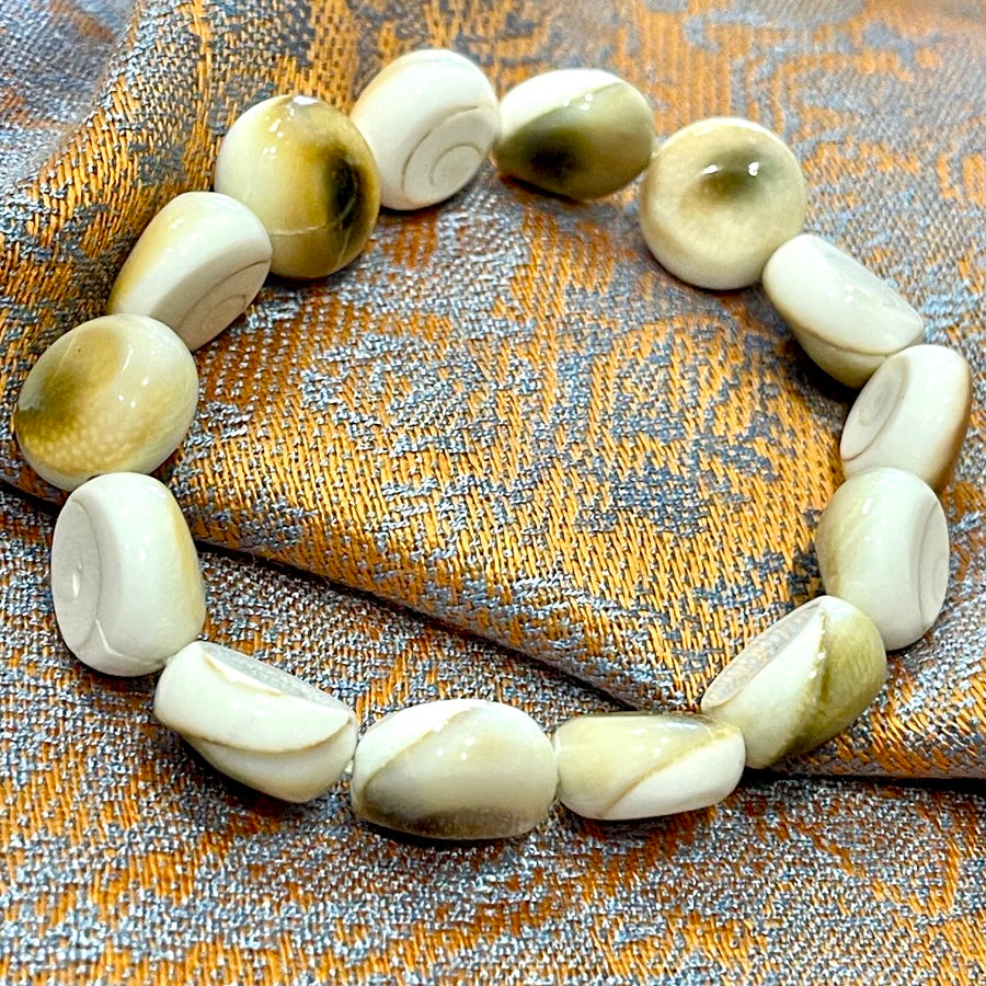 Shiva Shell Stretch Bracelet