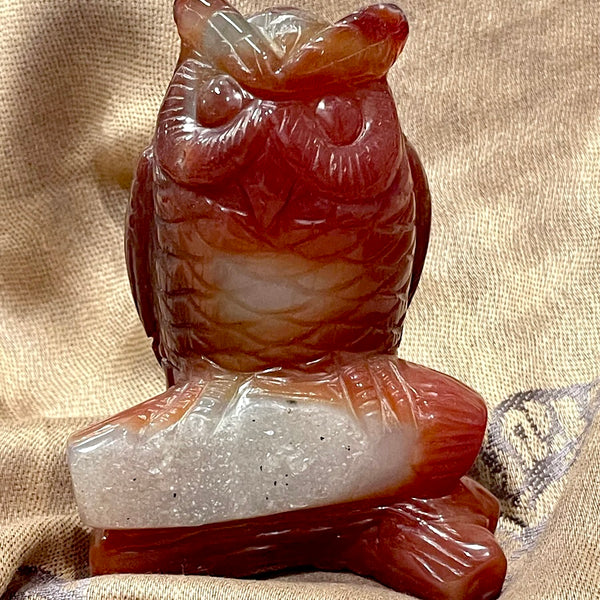 Carnelian Carved Owl with Druzy