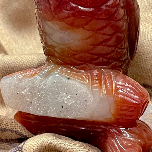 Carnelian Carved Owl with Druzy