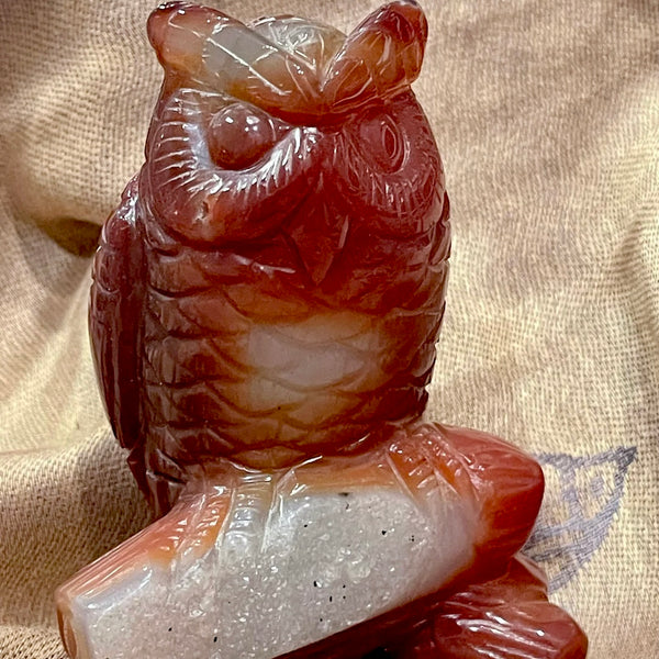 Carnelian Carved Owl with Druzy