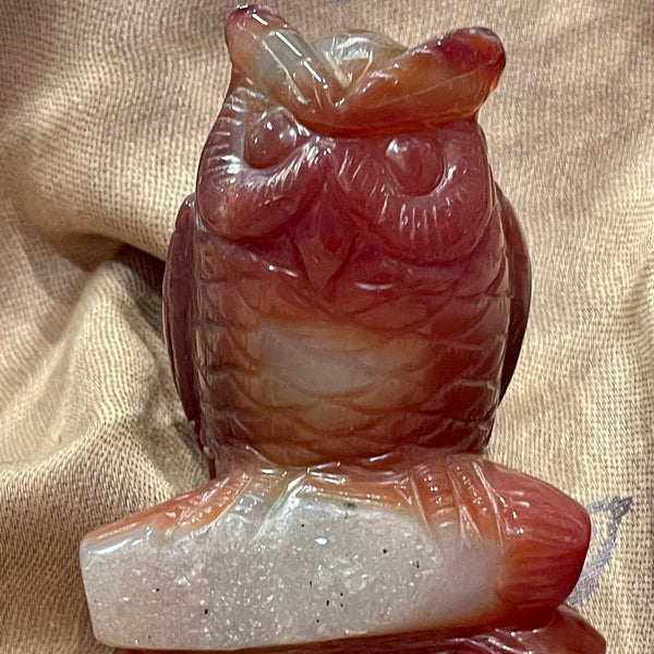 Carnelian Carved Owl with Druzy