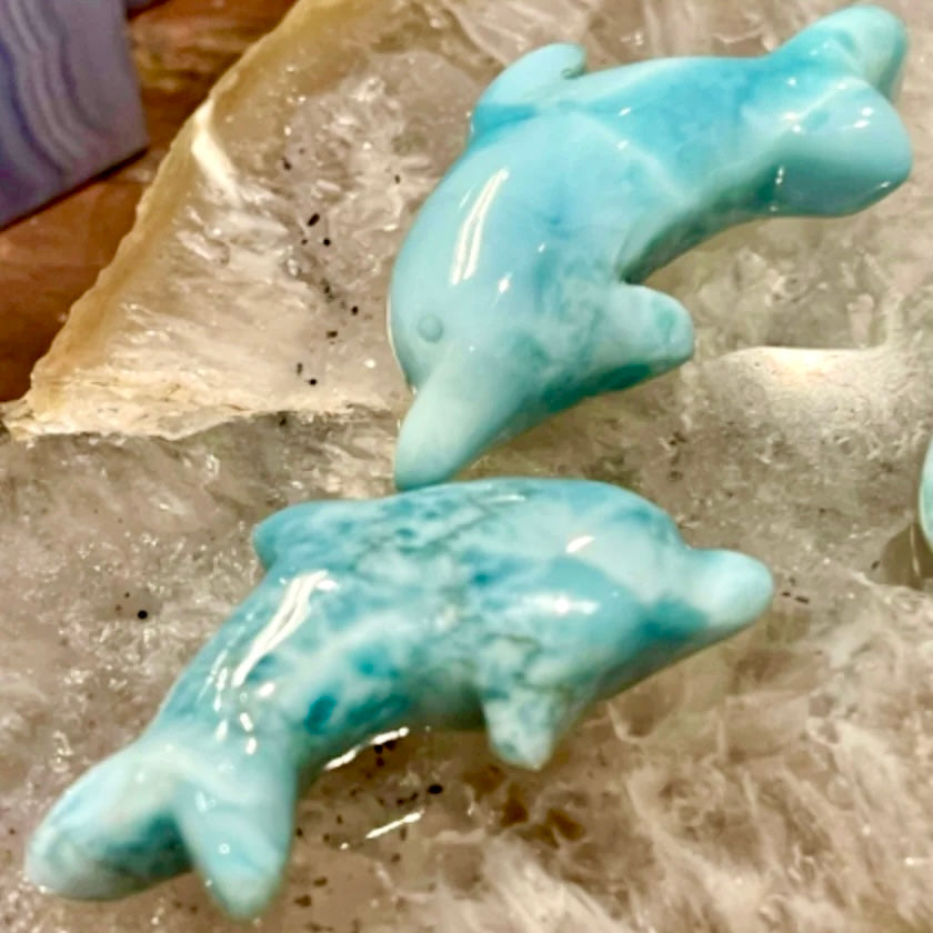 Larimar Dolphin Carving