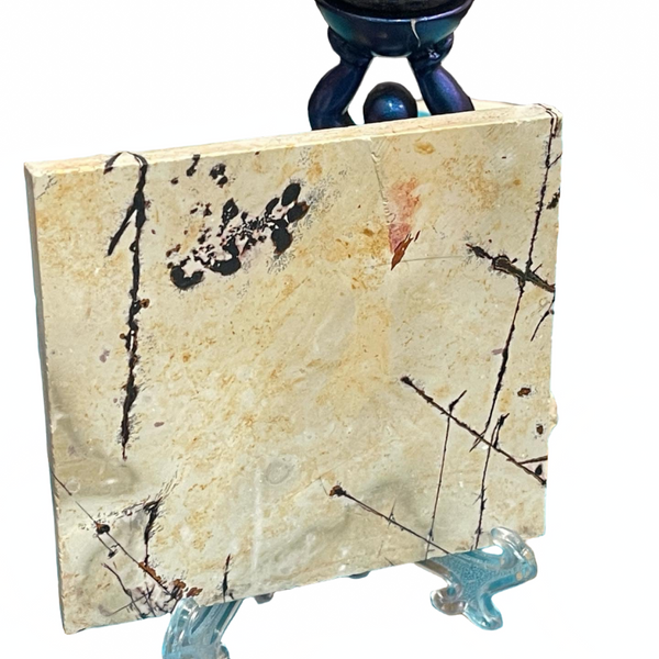 Crazy Horse Jasper Natural Slab with Stand | 4 Inch