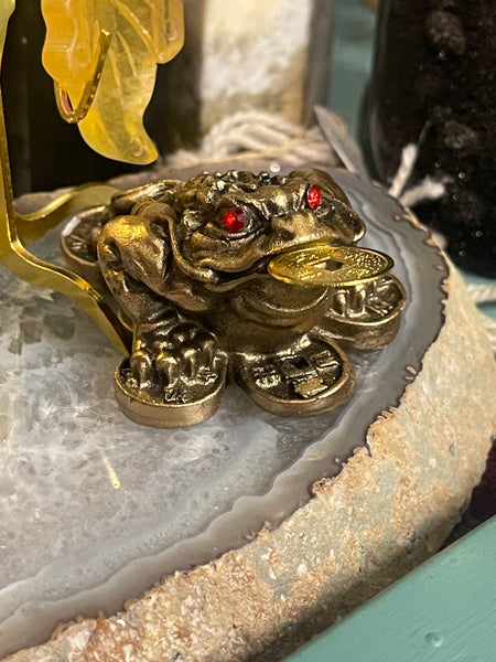 Money Frog Statue wCoin 2 inches