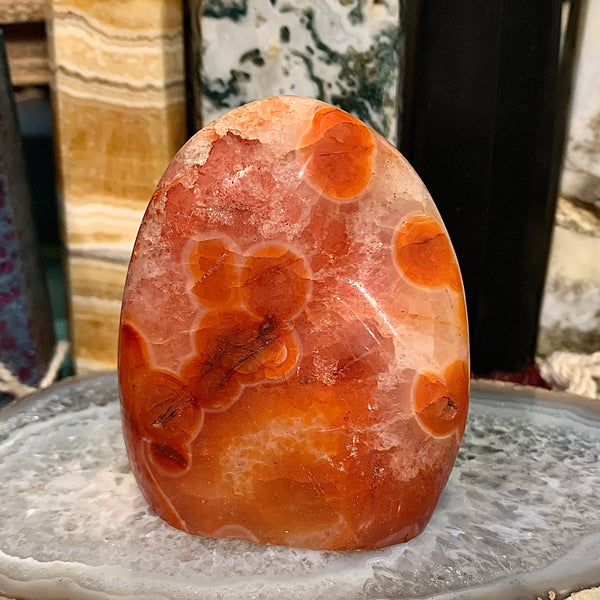 Carnelian Cut Base Polish Freeform