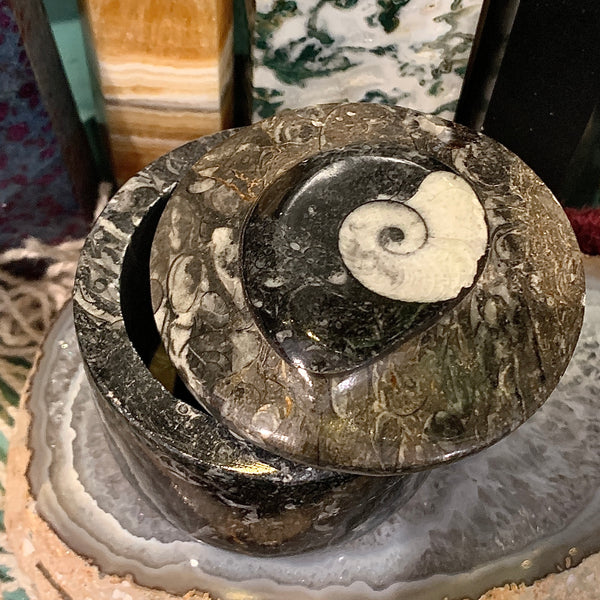 Ammonite Round Trinket Box 2.5”