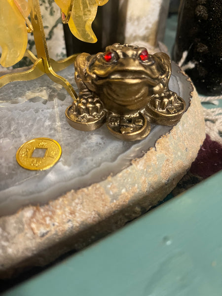 Money Frog Statue wCoin 2 inches