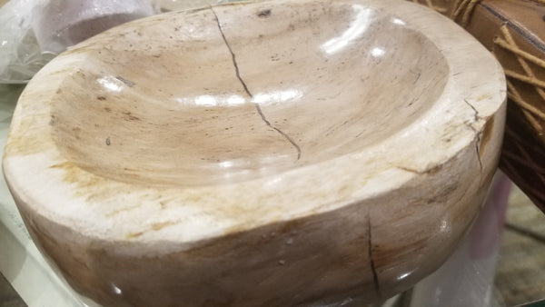 Petrified Wood Bowl