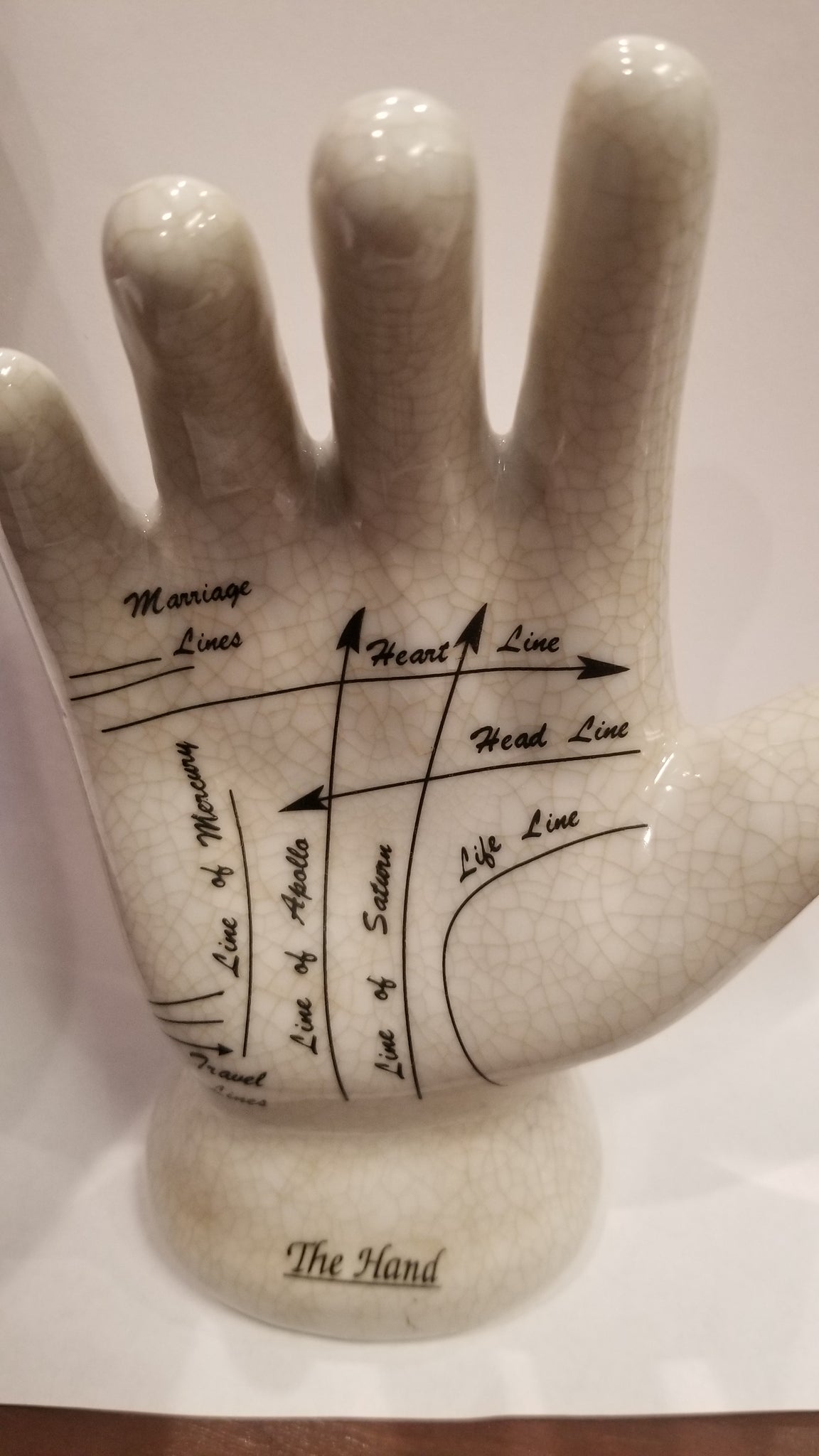 Palmistry Hand