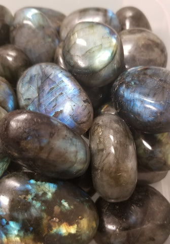 Labradorite Polished Palmstones