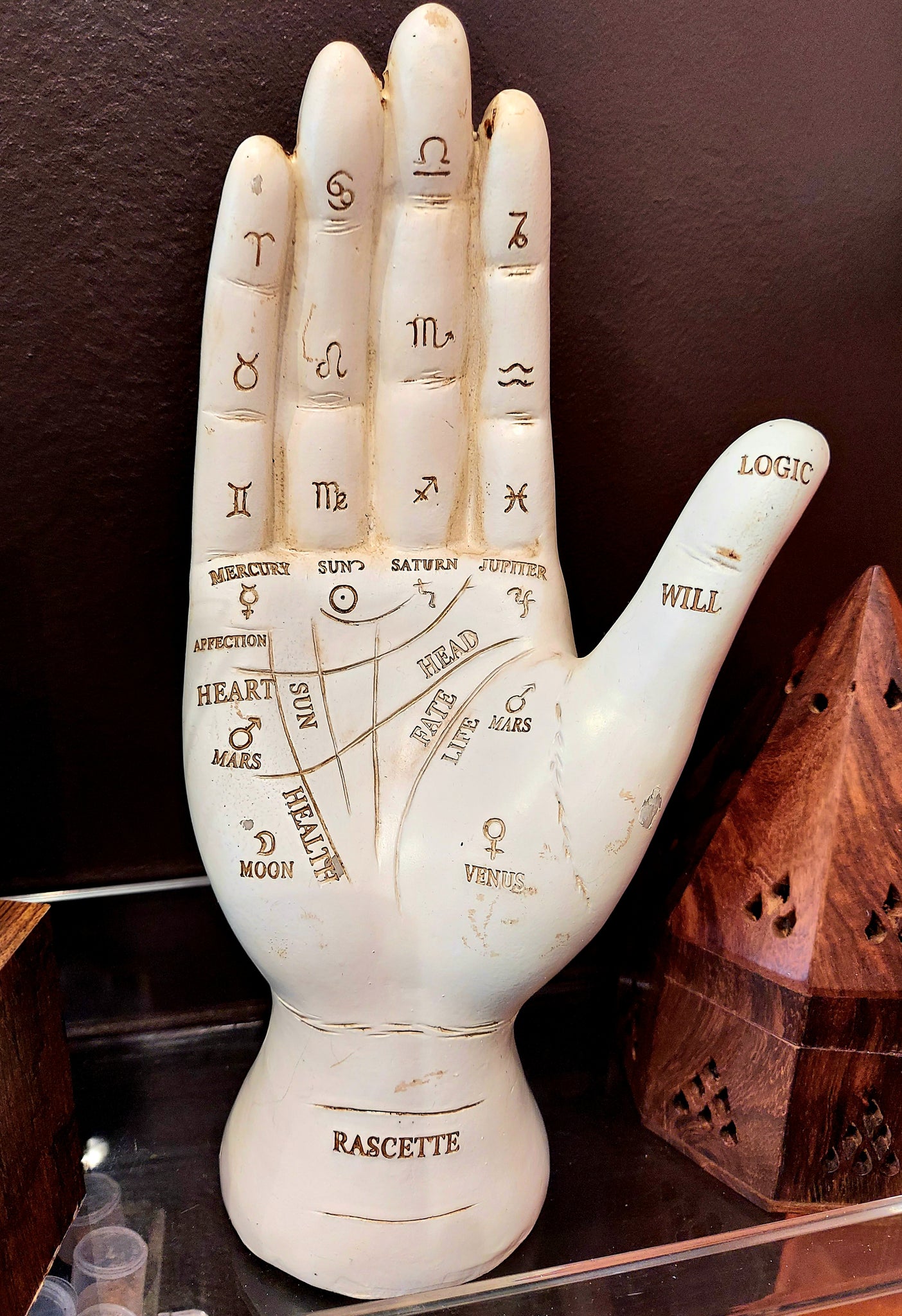 Zodiac Palmistry Hand