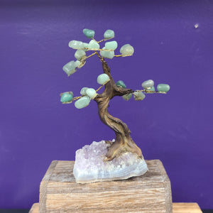 Green Aventurine 24 Leaf Money Tree with an Amethyst Base