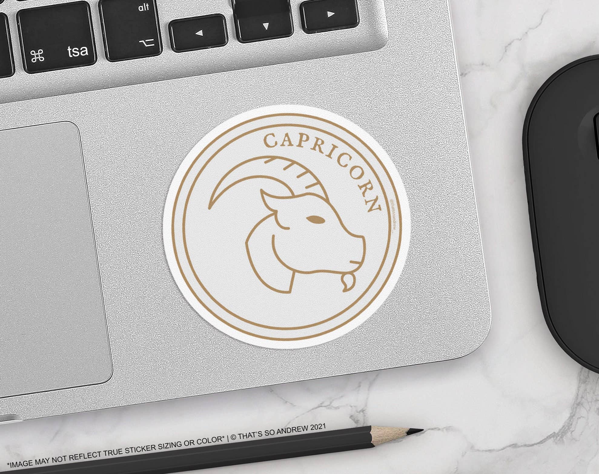 Capricorn 3" Sticker