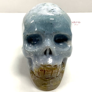 Ocean Jasper Skull - 3”