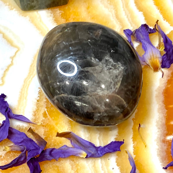 Black Moonstone Palm Stones