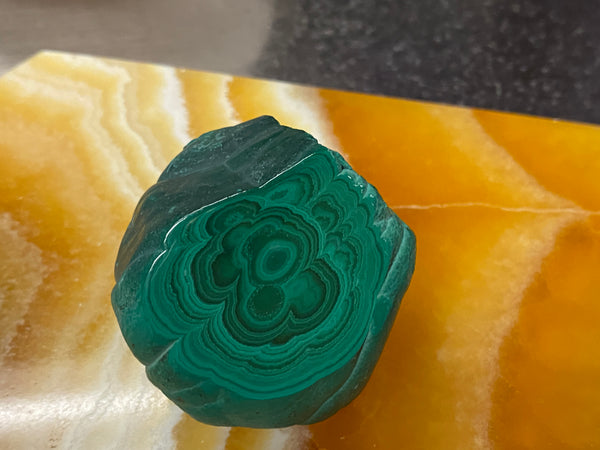 Malachite Single Sided Polished Freeform