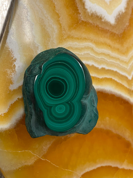 Malachite Single Sided Polished Freeform