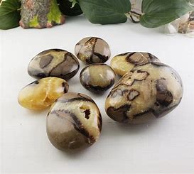 Septarian Palm Stone