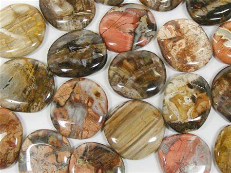 Petrified Wood Palm Stone