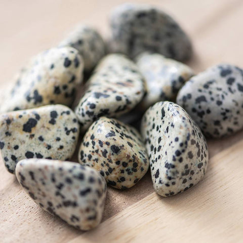 Dalmation Jasper Tumbled Pocket Stone