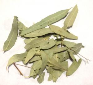 Eucalyptus Leaves 1 oz