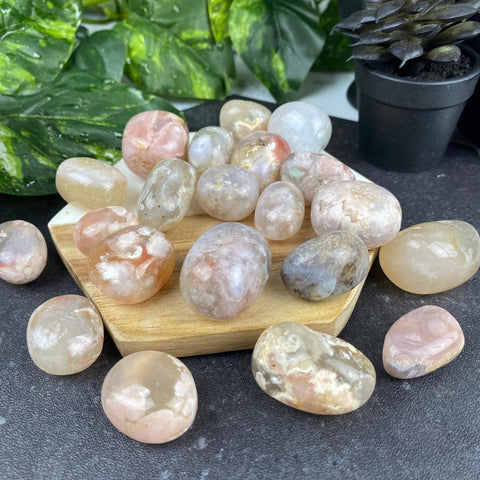 Flower Agate Tumbled pocket Stones