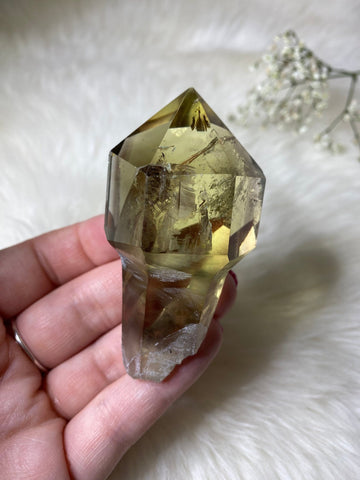 Smoky Citrine (Africa)  Sceptre Assorted Sizes