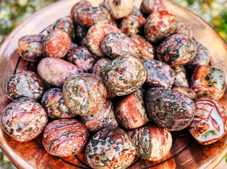 Leopardskin Jasper Tumbled Pocket Stones