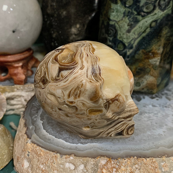 Chocolate Jasper Alien Head Carving