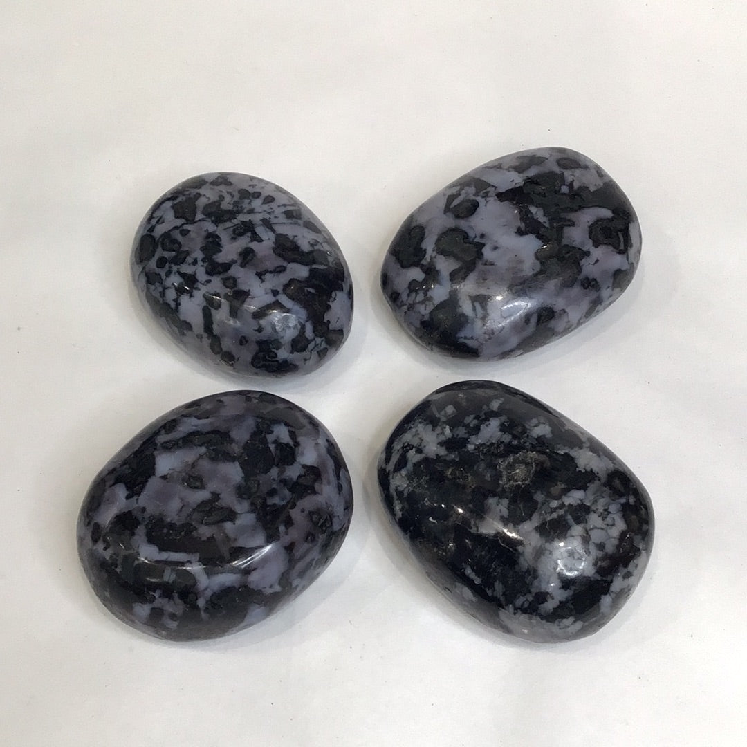 Indigo Gabbro (Merlinite) Palm Stone