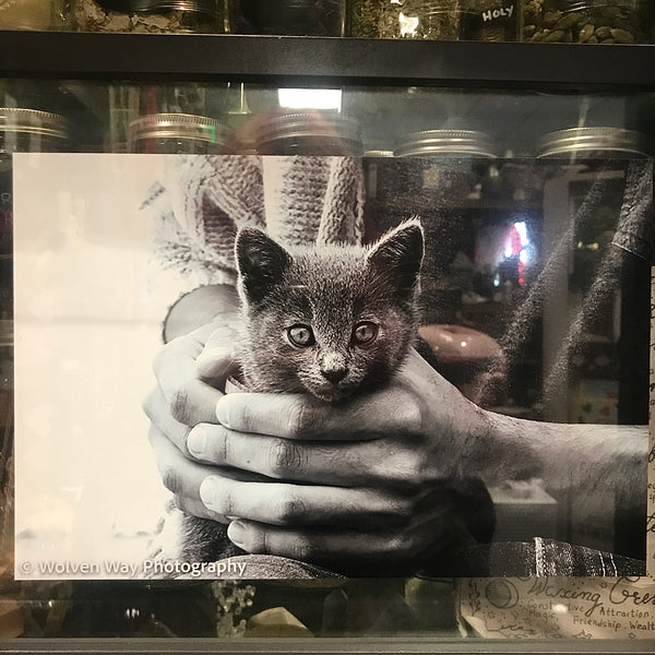 “Familiar” by Wolven Way Photography Framed Photograph
